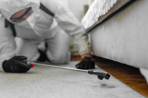 Professional Bed Bug Control technician working in Lincoln County County, WA